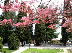 Italy - Lake Maggiore