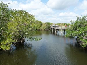 USA - FLorida - Everglade National Park