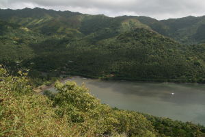 Polynesia - Niku Hiva