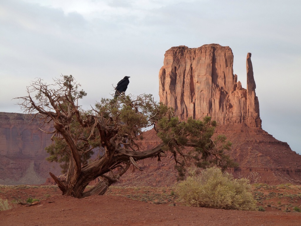 Utah - Monument Valley