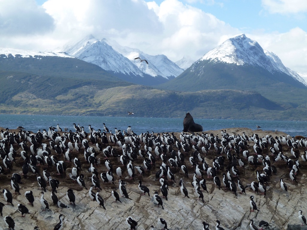 Beagle Channel