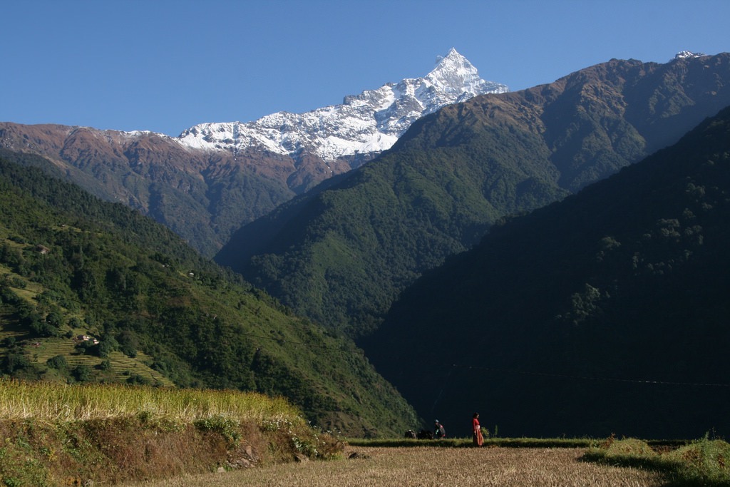 Fish Tail - Mardi Himal trek