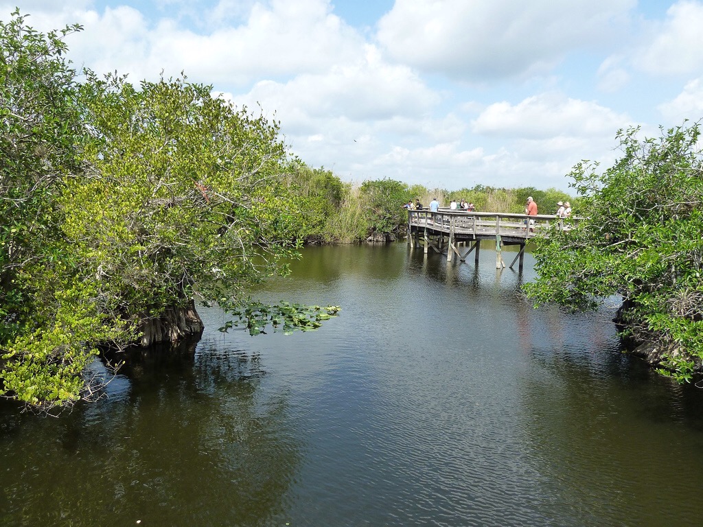 Everglade National Park