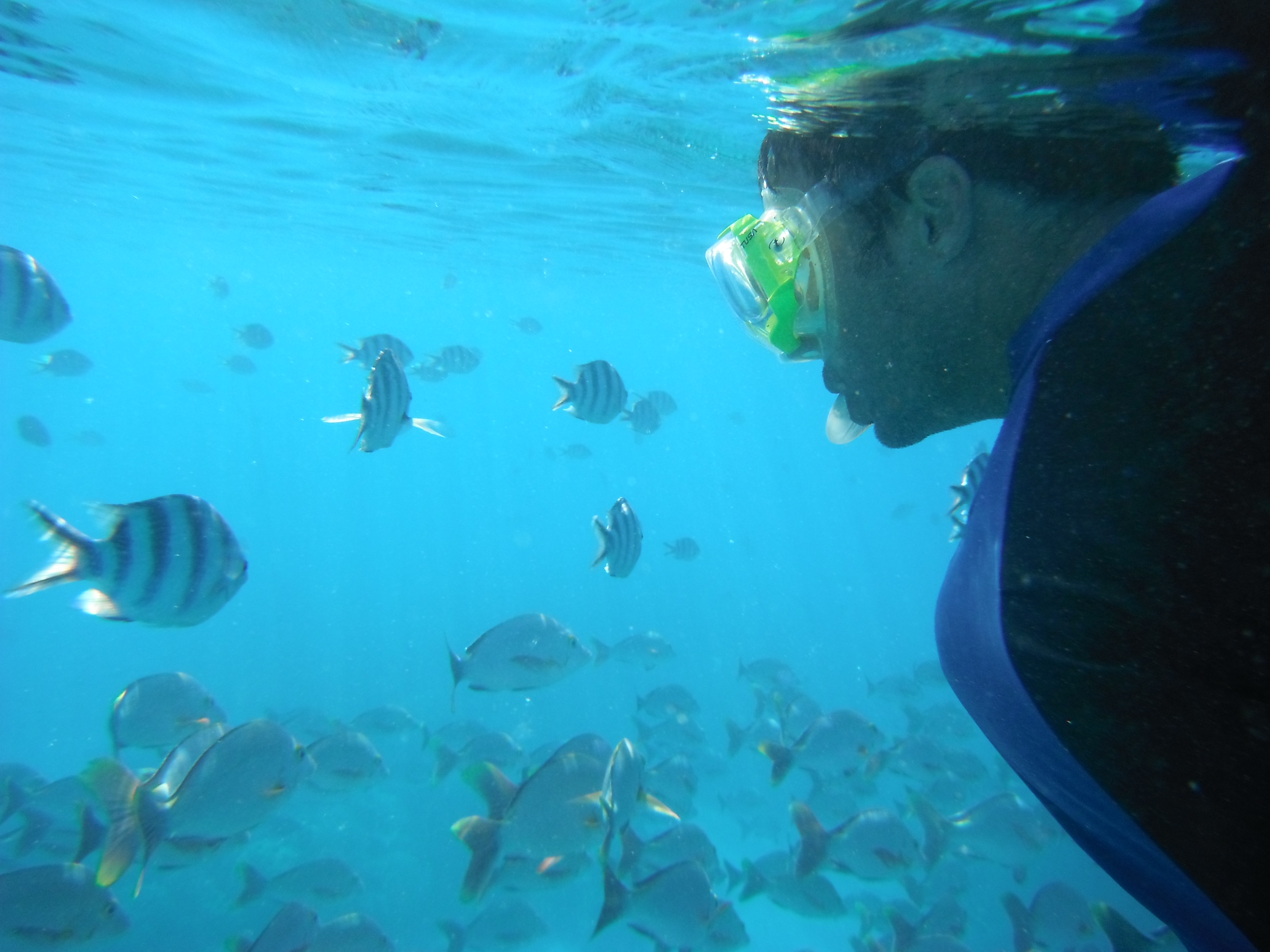 Polynesia - Rangiroa