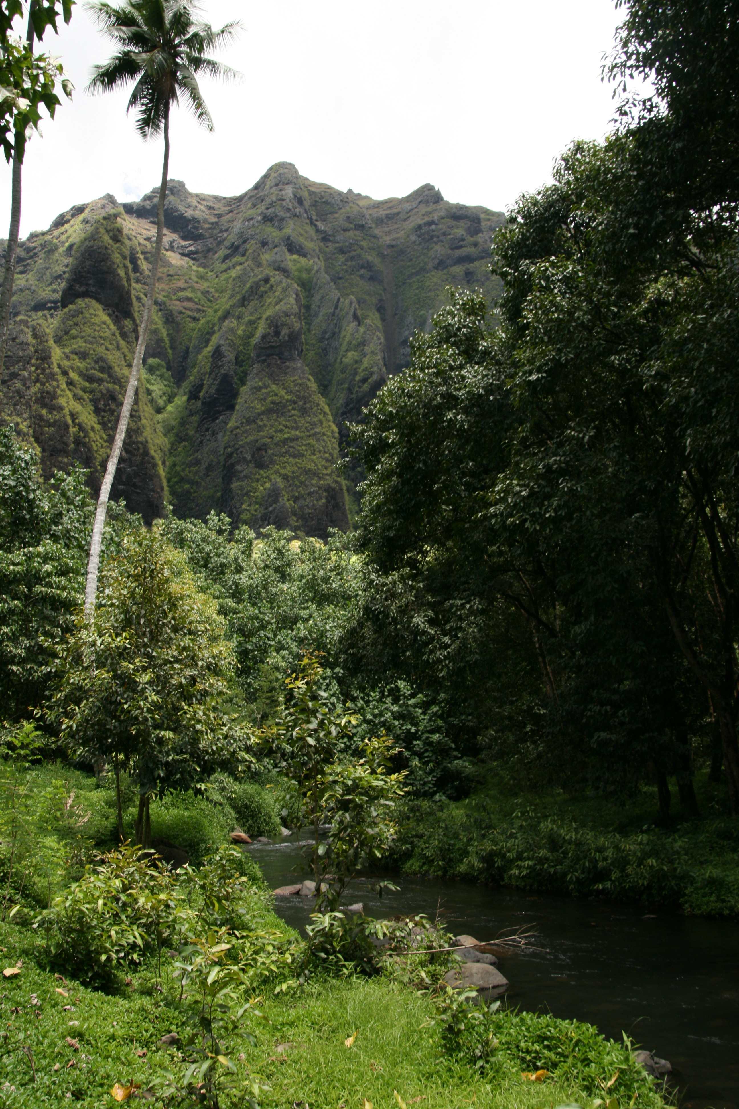 Polynesia - Niku Hiva