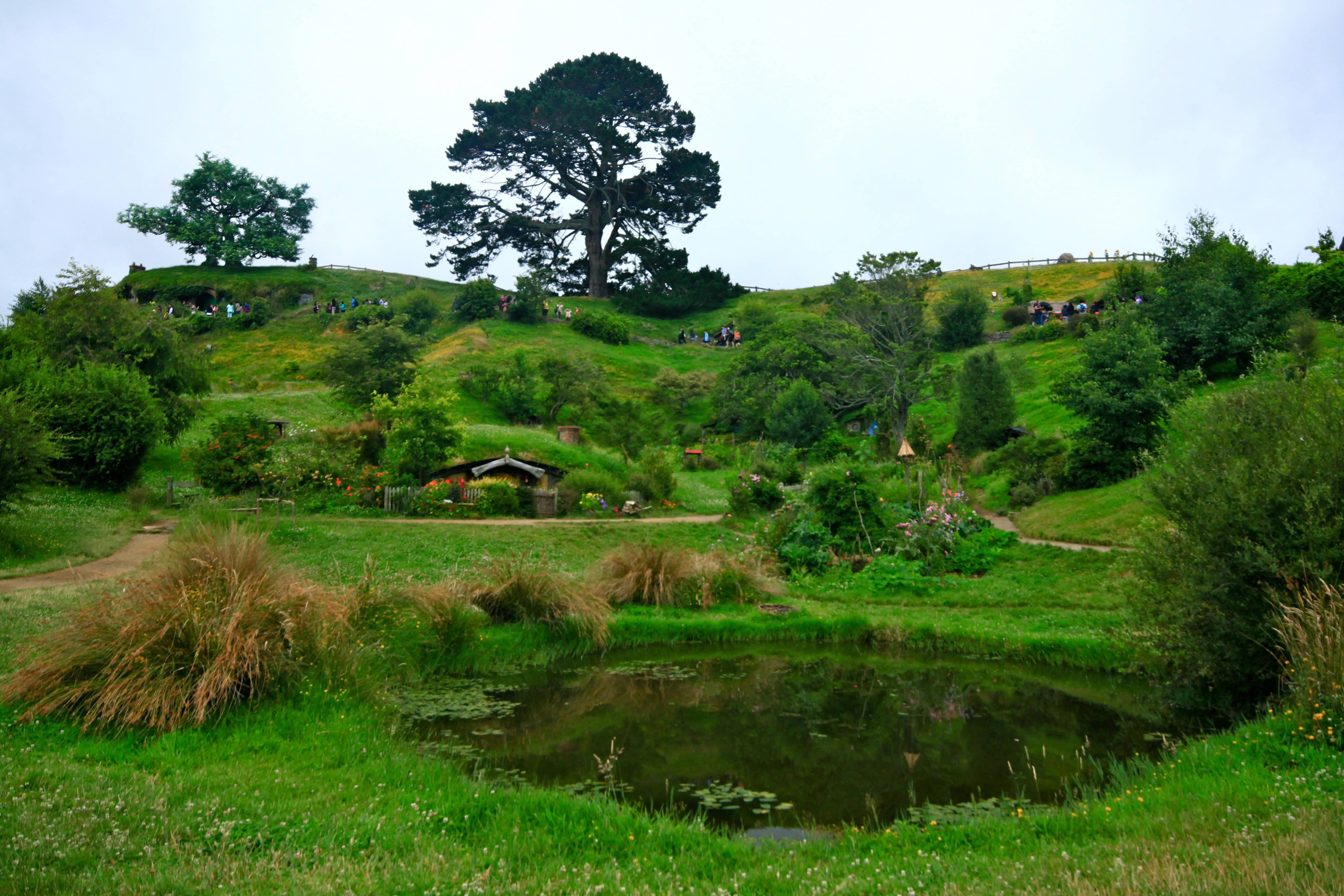 New Zealand - Hobbiton