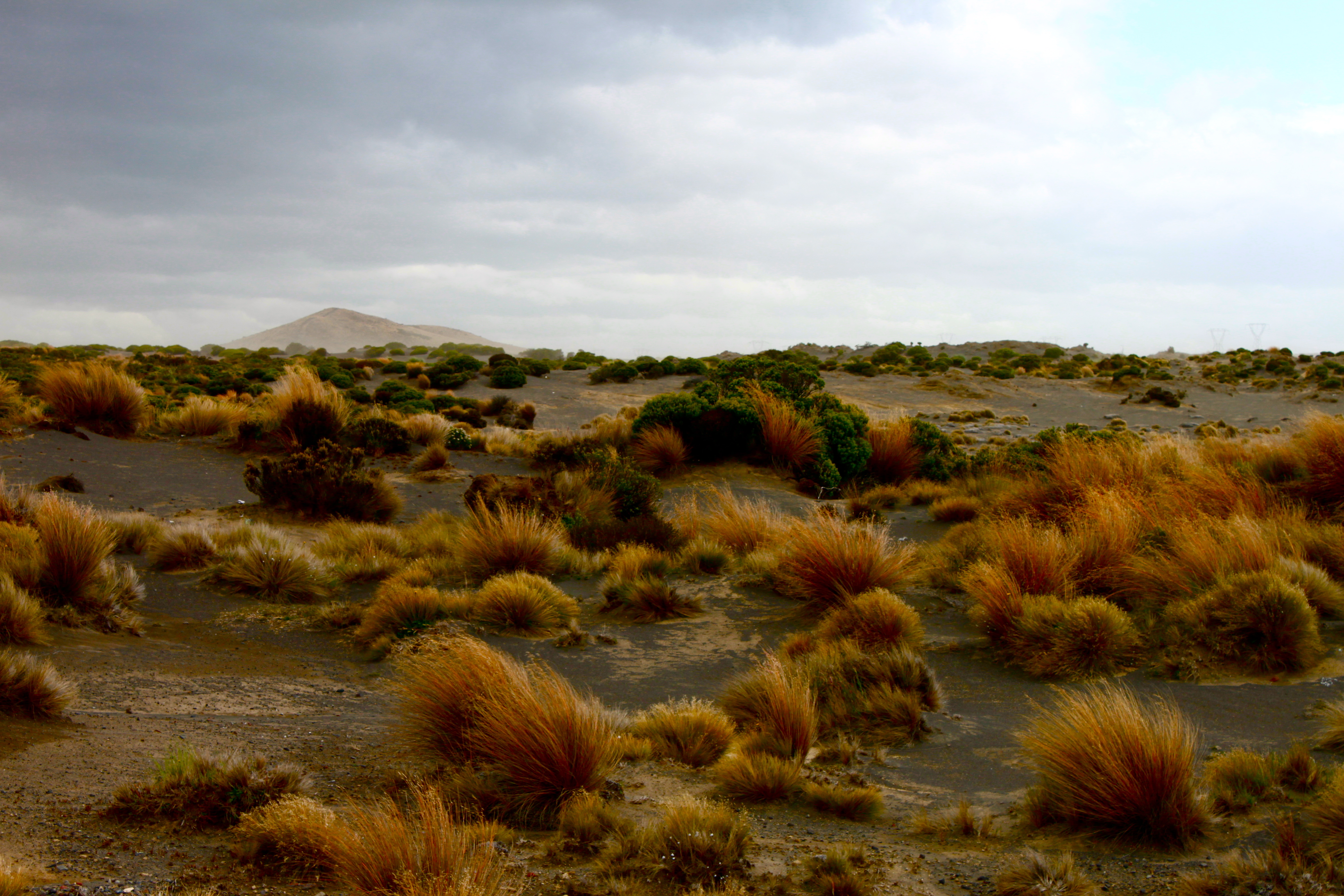 New Zealand - Red Desert